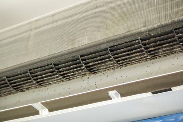 Affordable HVAC Duct Cleaning in LA